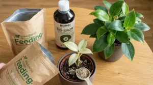 Vasi con piante da interno e fertilizzanti naturali in granuli e liquido su tavolo di legno