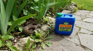 Serpente tra le piante vicino a un contenitore di repellente in un giardino