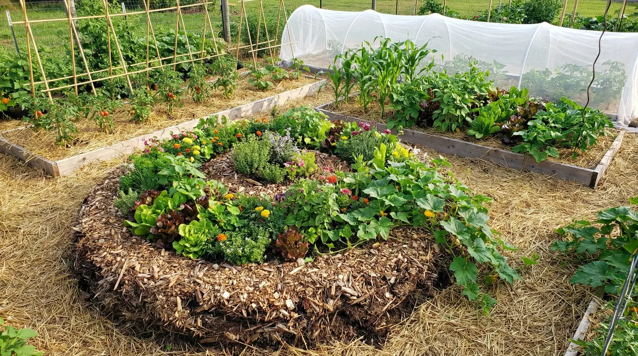 Orto sinergico con aiuola pacciamata, ortaggi e fiori consociati, tunnel protettivo e letti rialzati nell’orto